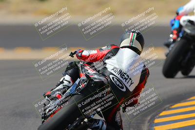 media/Oct-08-2022-SoCal Trackdays (Sat) [[1fc3beec89]]/Turn 11 Backside (1145am)/